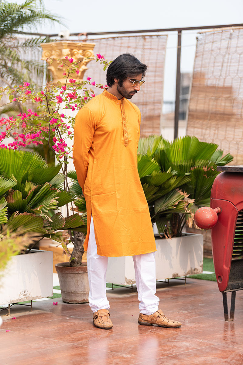 Intricate Neckline Kurtas Amber